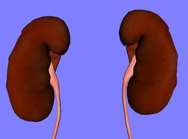 Viagra pillen betekenis
