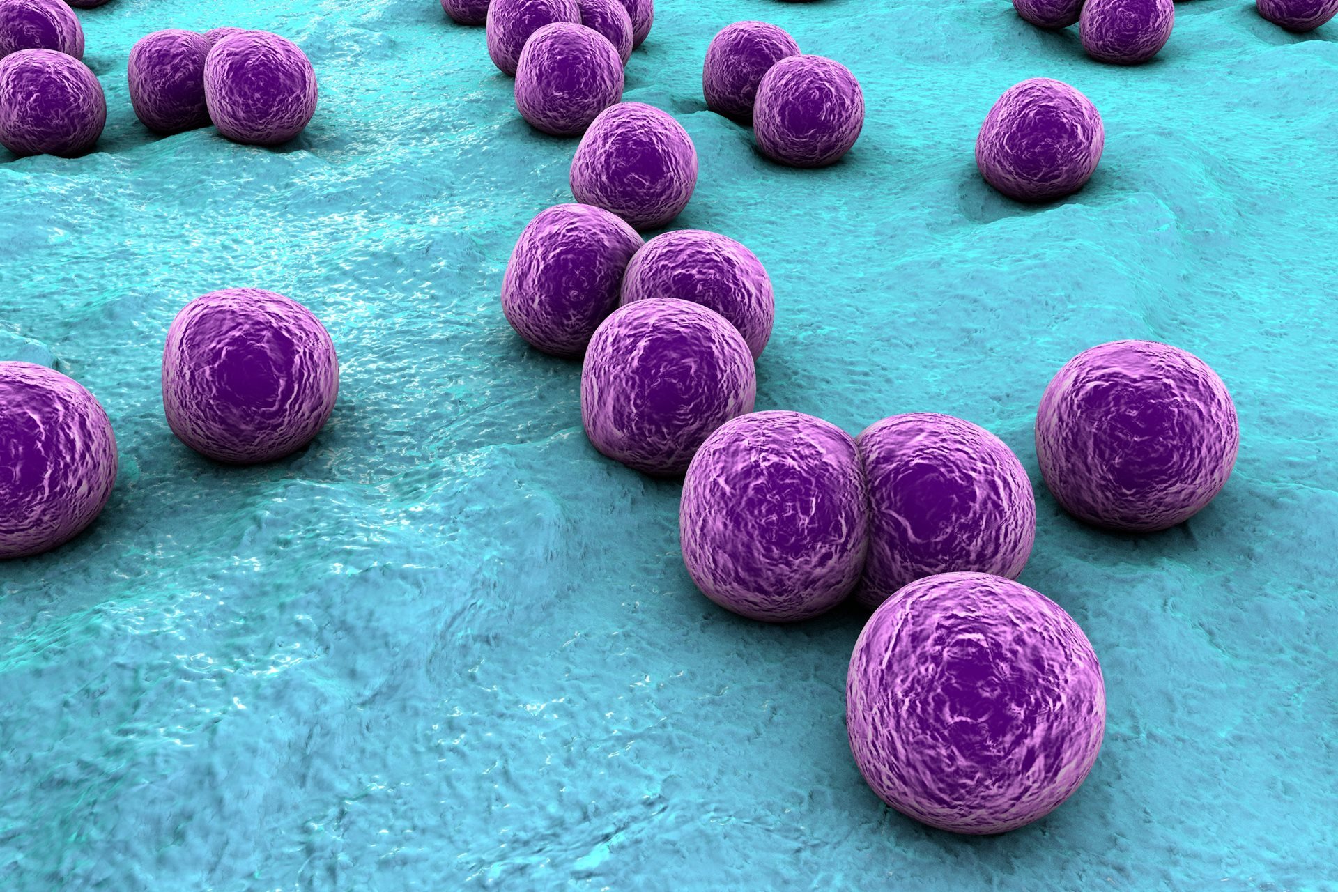 Trial of existing antibiotic for treating Staphylococcus aureus bacteremia  begins
